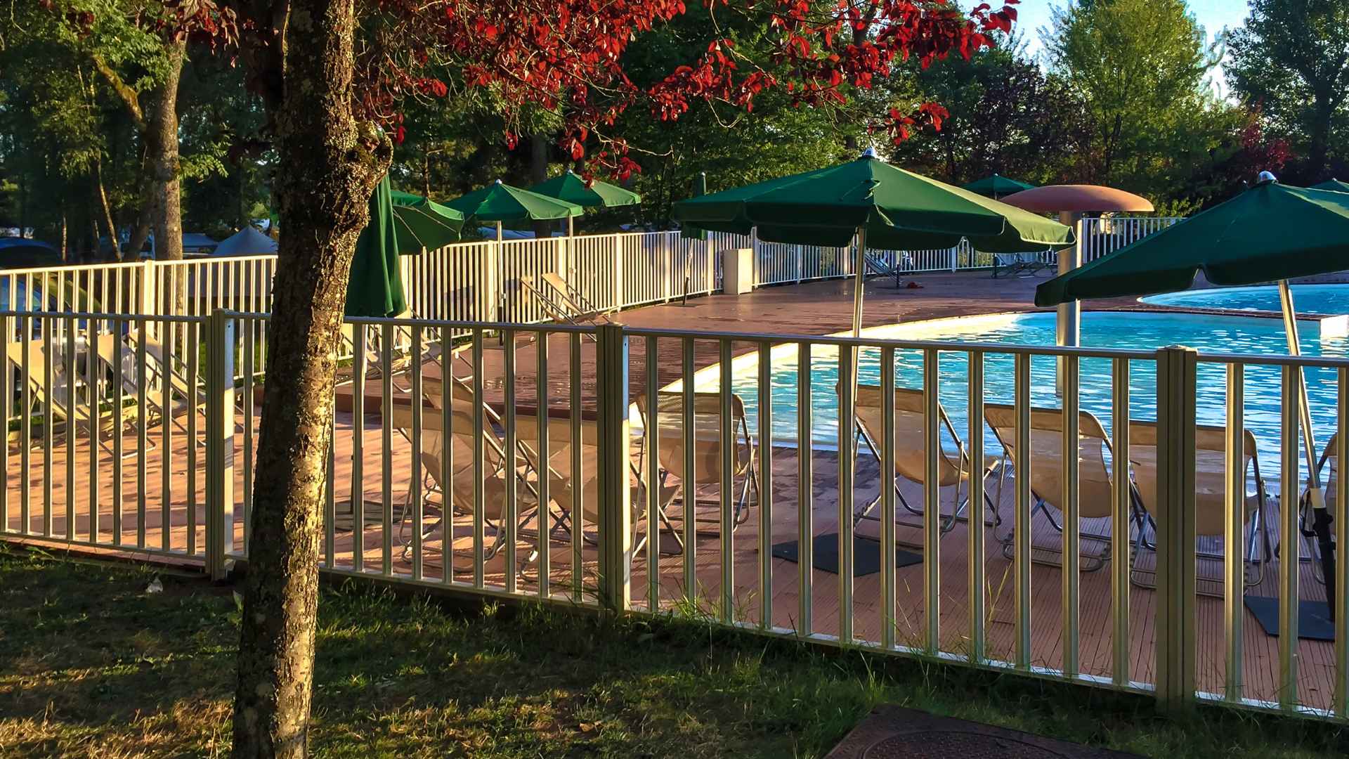 pool fence 1